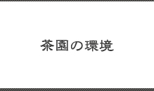 茶園の環境