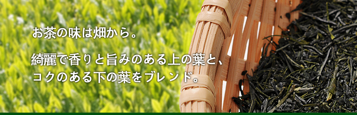お茶の味は畑から。綺麗で香りと旨みのある上の葉と、コクのある下の葉をブレンド。