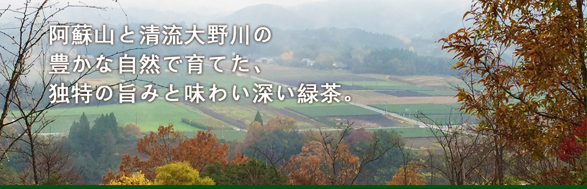 阿蘇山と清流大野川の豊かな自然で育てた、独特の旨みと味わい深い緑茶。