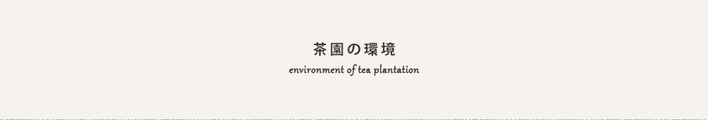 茶園の紹介